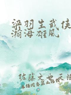 梁羽生武侠小说瀚海雄风