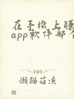 在手机上赚钱的app软件哪个好