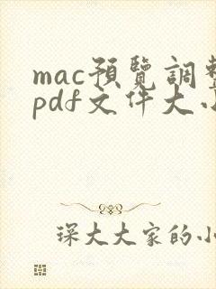 mac预览调整pdf文件大小