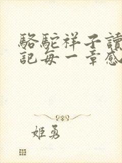 骆驼祥子读书笔记每一章感悟