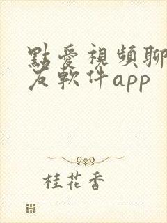 点爱视频聊天交友软件app