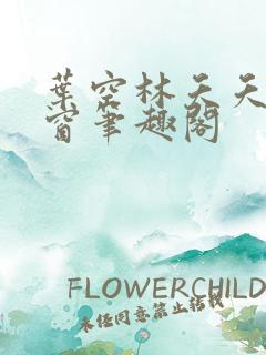 叶空林夭夭无弹窗笔趣阁