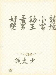 好看的小说推荐双男主电竞