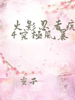 火影忍者疾风传4究极风暴