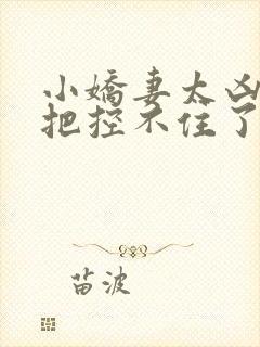 小娇妻太凶陆爷把控不住了