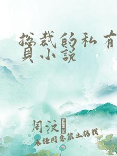 总裁的私有小宝贝小说