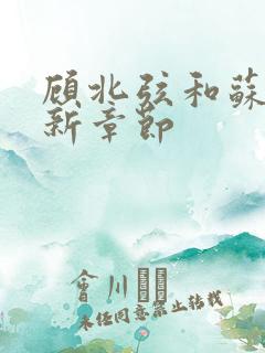 顾北弦和苏o最新章节