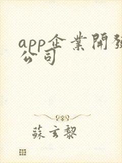 app企业开发公司
