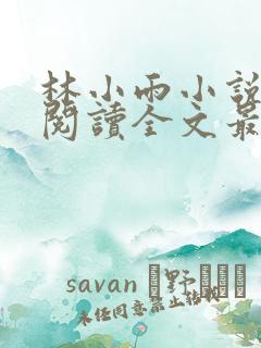 林小雨小说免费阅读全文最新章节