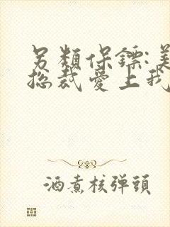 另类保镖:美女总裁爱上我 小说