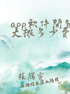 app软件开发大概多少费用