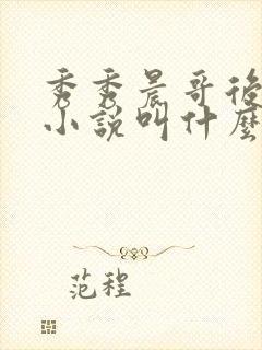 秀秀晨哥后妈的小说叫什么