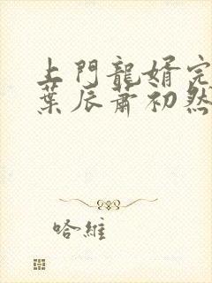 上门龙婿完整版叶辰萧初然