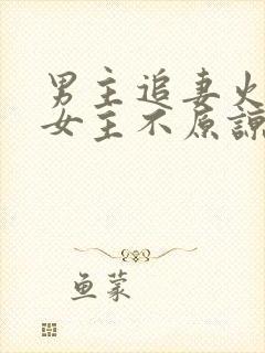 男主追妻火葬场女主不原谅