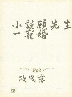 小说顾先生的第一宠婚