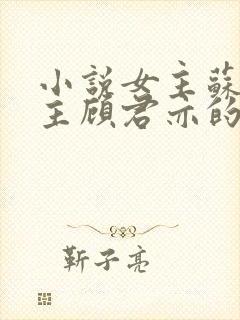 小说女主苏杳男主顾君亦的小说免费