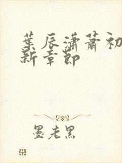 叶辰潇萧初然最新章节