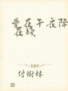 爱在午夜降临前 在线