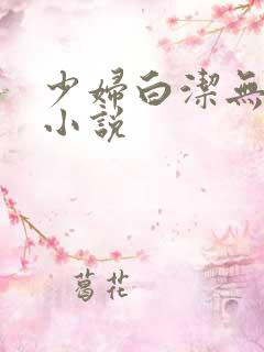 少妇白洁无删减小说