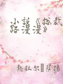 小说《总裁追妻路漫漫》