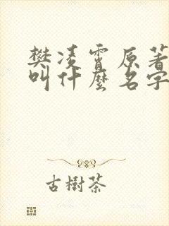 樊凌霄原著小说叫什么名字