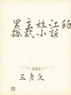 男主姓江的现代总裁小说