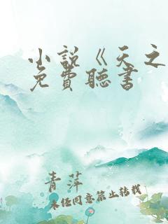 小说《天之下》免费听书