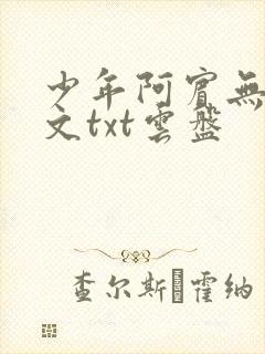 少年阿宾无删全文txt云盘