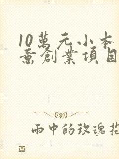 10万元小本生意创业项目