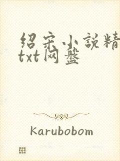 绍宋小说精校版txt网盘