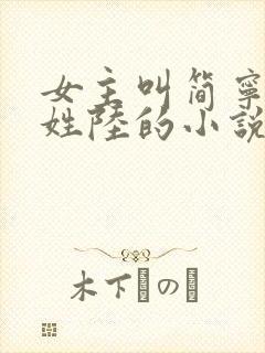 女主叫简宁男主姓陆的小说