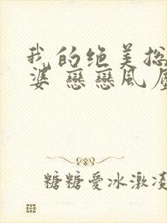 我的绝美总裁老婆 恋恋风尘