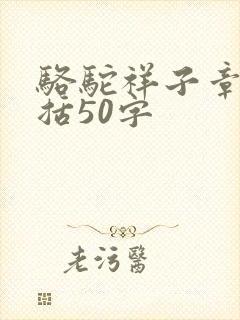 骆驼祥子章节概括50字