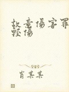 故意伤害罪的致轻伤