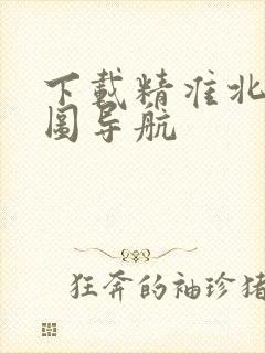 下载精准北斗地图导航