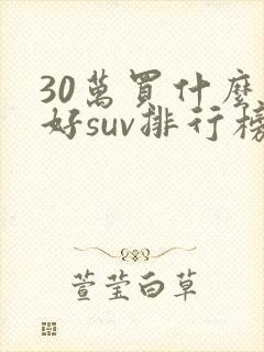 30万买什么车好suv排行榜