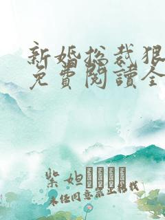 新婚总裁狠神秘免费阅读全文全文