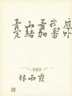 青山看我应如是完结加番外txt