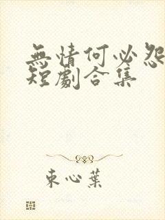 无情何必怨相逢短剧合集