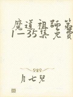 魔道祖师第一季1—35集免费