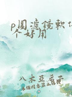 p图滤镜软件哪个好用