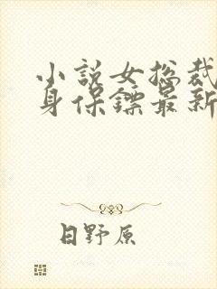 小说女总裁的贴身保镖最新章节列表免费