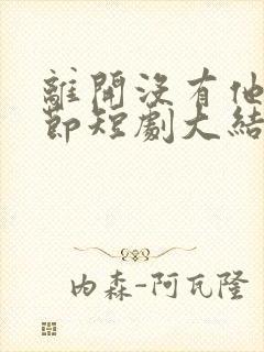 离开没有他的季节短剧大结局