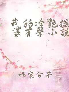 我的冷艳总裁老婆有声小说完整