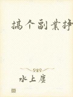 搞个副业挣点钱