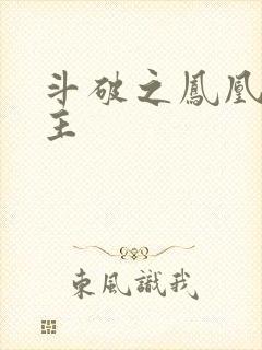 斗破之凤凰族少主