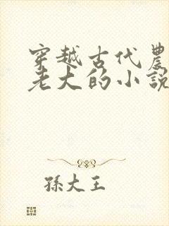 穿越古代农家当老大的小说