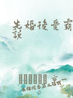 先婚后爱霸总小说