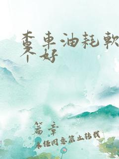 查车油耗软件哪个好