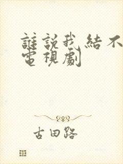 谁说我结不了婚电视剧